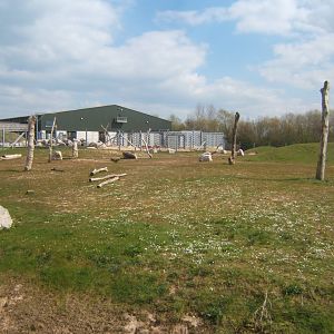 View of Elephant enclosure 14/04/2019