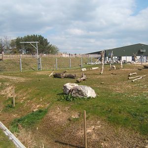 View of Elephant enclosure 14/04/2019