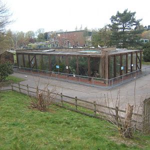 View of old Tree Kangaroo House 14/04/2019