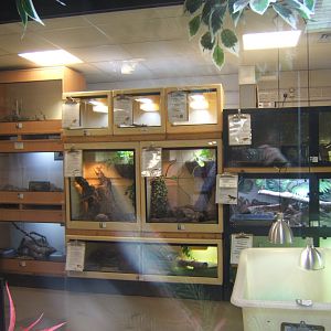 View of reptile room 16/04/2019