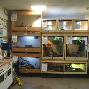 View of reptile room 16/04/2019