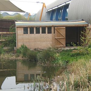 Pelican House 17/04/2019