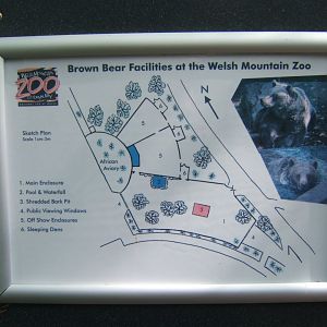 Plan of Brown Bear enclosure 23/04/2019
