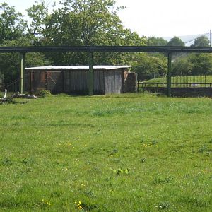 Housing due to disappear when and if grasslands happens 25/05/2019