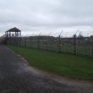 View of raised viewing for Spectacled Bear and Coati 03/02/2018