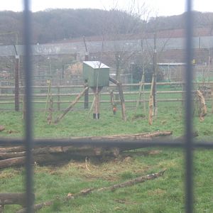 Coati nest box 03/02/2018