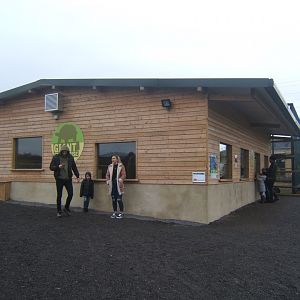 View of outside of the Giant Tortoise 03/02/2018