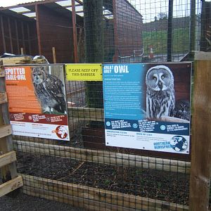 New Owl aviaries 03/02/2018