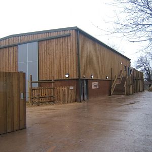 View of Giraffe House 03/02/2018