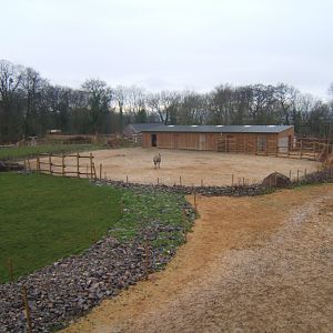 View of hoofstock housing 03/02/2018