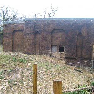 View of Gelada House 03/02/2018
