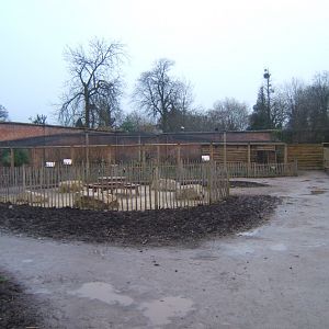 View inside walled Garden 03/02/2018