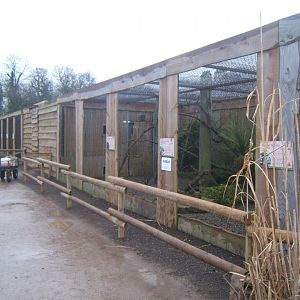 View inside walled Garden 03/02/2018