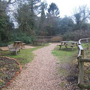 View of picnic area 03/02/2018