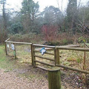 View of Pond dipping area 03/02/2018