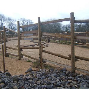 View of Red River Hog enclosure 03/02/2018