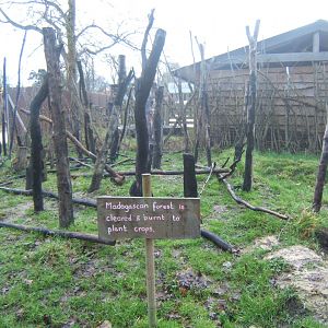 View of themed area 03/02/2018