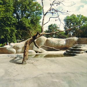 Wolverine Exhibit 1966