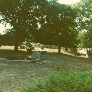 Ostrich, Eland & Zebra Exhibit 1966