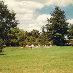 Greater Flamingo Exhibit 1966
