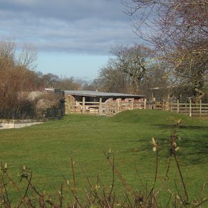 Roan Antelope Housing soon to disappear if Grasslands ever starts 17/02/2018