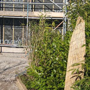 Tree Kangaroo House under construction 17/02/2018