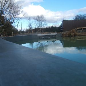 New Penguin viewing window 17/02/2018