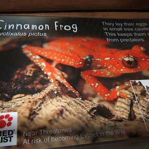 Signage in Monsoon 20/05/2018