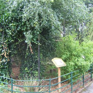 View of Ibis aviary 29/07/2017