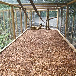 Extension to Buffy-headed Capuchin enclosure 29/07/2017