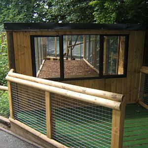 Extension to Buffy-headed Capuchin enclosure 29/07/2017