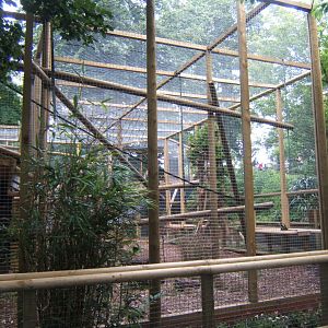 Extension to Buffy-headed Capuchin enclosure 29/07/2017