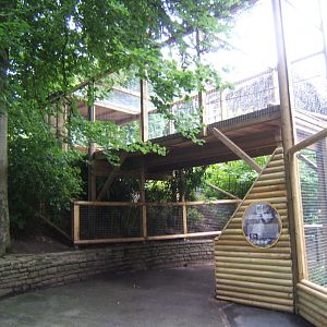 Extension to Buffy-headed Capuchin enclosure 29/07/2017