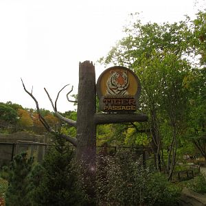 Rosebrough Tiger Passage