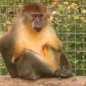 "Am I In Trouble???"