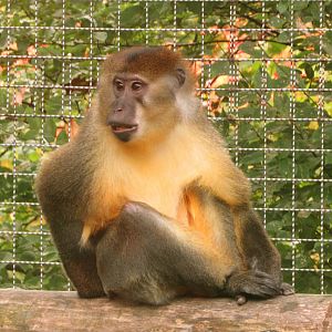 "I Didn't Do It I Swear!!!"