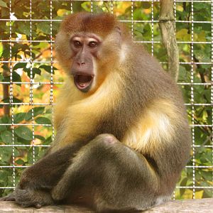 "How Did You Know???"