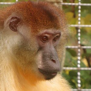 "I'm Watchin' Ya!!!"