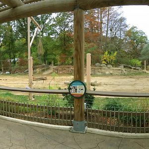 African Elephant Crossing: Mopani Range