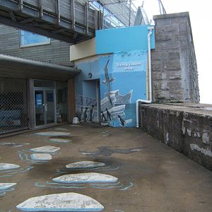 Mural on the exit wall of the shop 30/07/2017