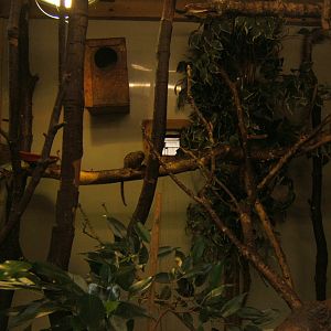 View inside Marmoset and Tamarin housing 30/07/2017