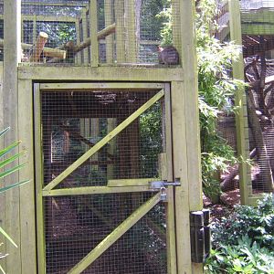 View of entrance into an enclosure with a high level long-nosed Potaroo 30/07/2017