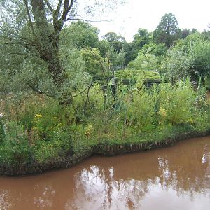 View of primate island in lake 30/07/2017