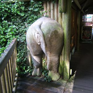 That must have hurt 30/07/2017