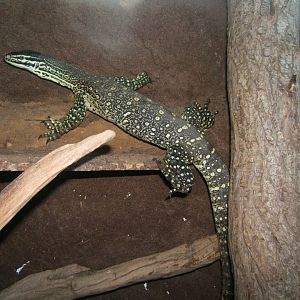Argus Monitor 27/08/2017