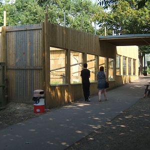View of Mandrill enclosure viewing 27/08/2017