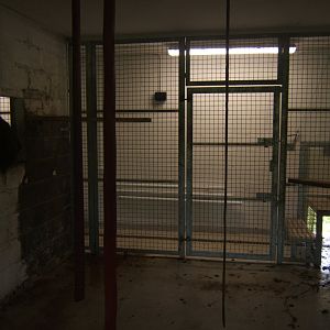 View of the indoors for the Mandrills 27/08/2017