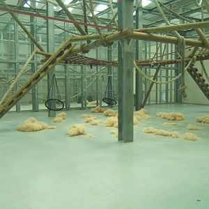 View inside the Chimp House 27/08/2017