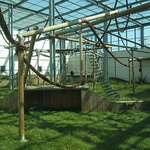 View of the outdoor Chimps 27/08/2017