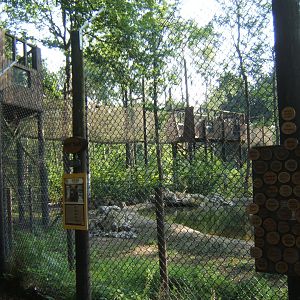 Over head walk for Bears 27/08/2017